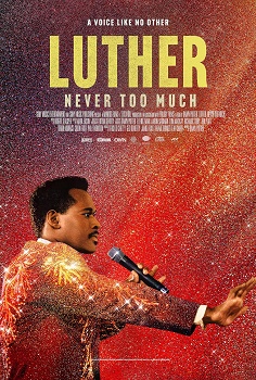 Poster for Luther: Never Too Much